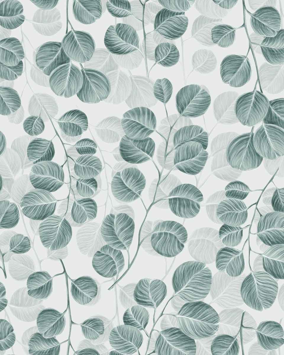 Papel de Parede Eucalipto Cascata